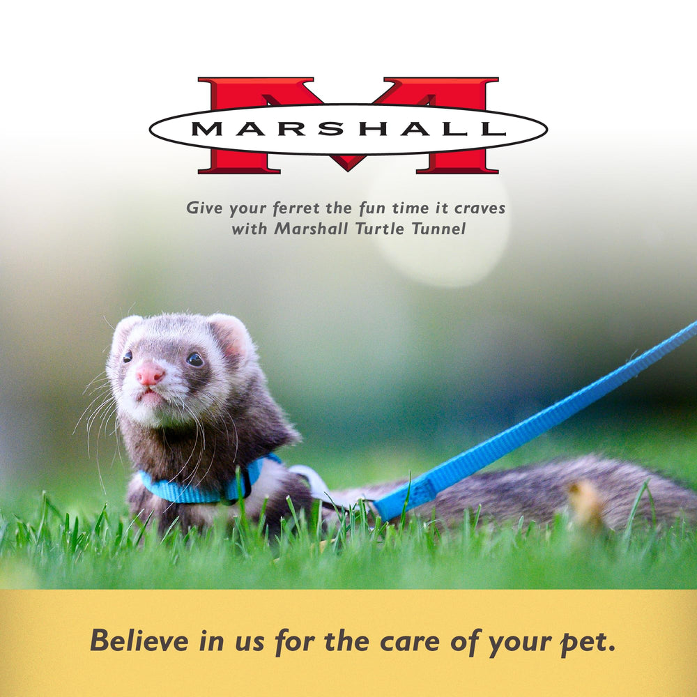 Marshall Pet Turtle Tunnel easy setup makes quick play sessions a breeze.