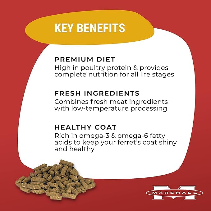 Marshall Premium Ferret Diet bowl scene shows ready-to-serve balanced protein for ferret meals.