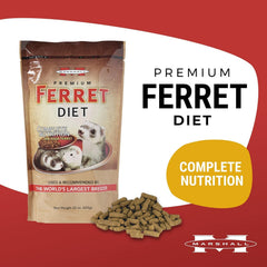 Marshall Premium Ferret Diet kibble close-up reveals high-protein chicken-first formula.