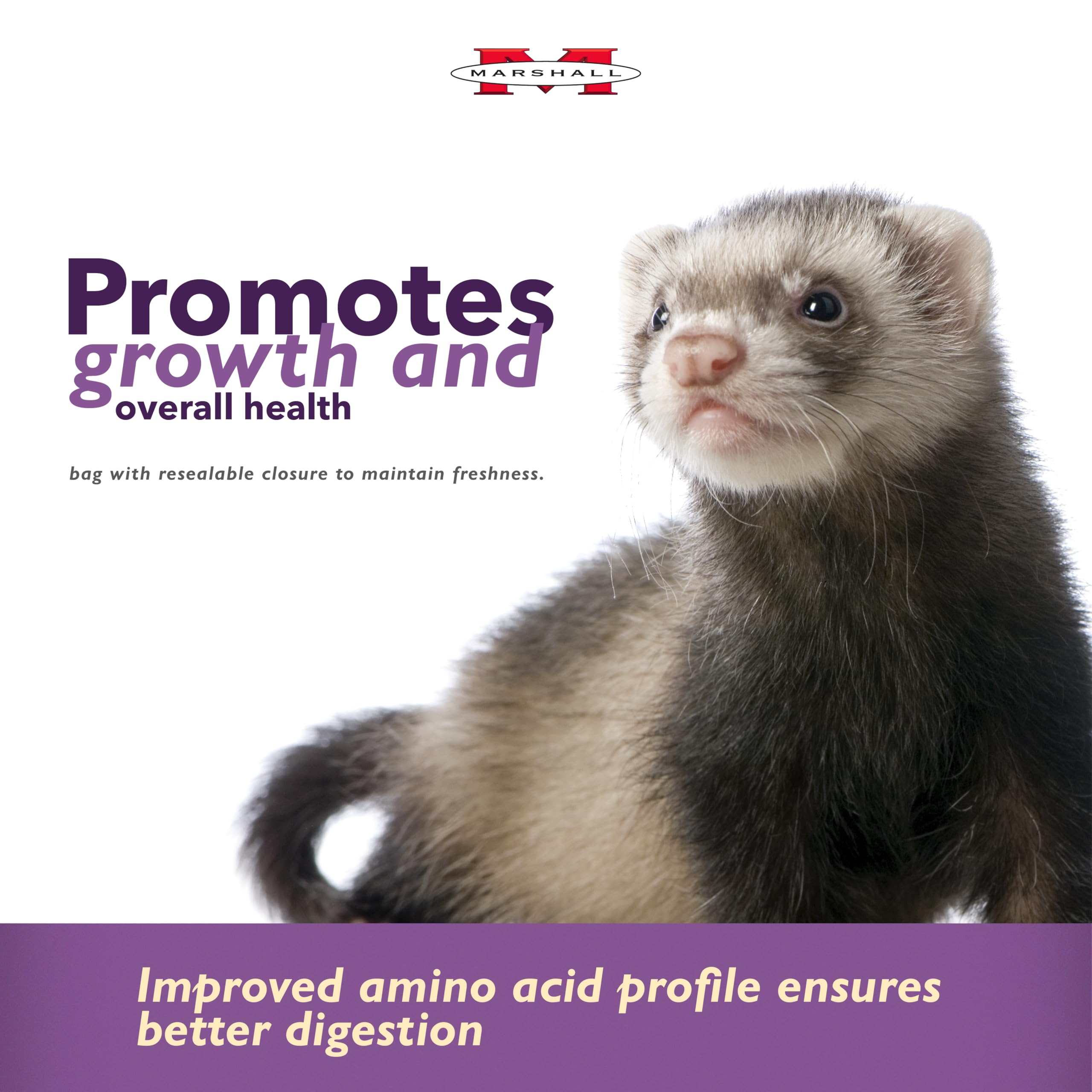 Marshall Premium Ferret Diet Senior Formula close-up of kibble variety for mature ferrets.