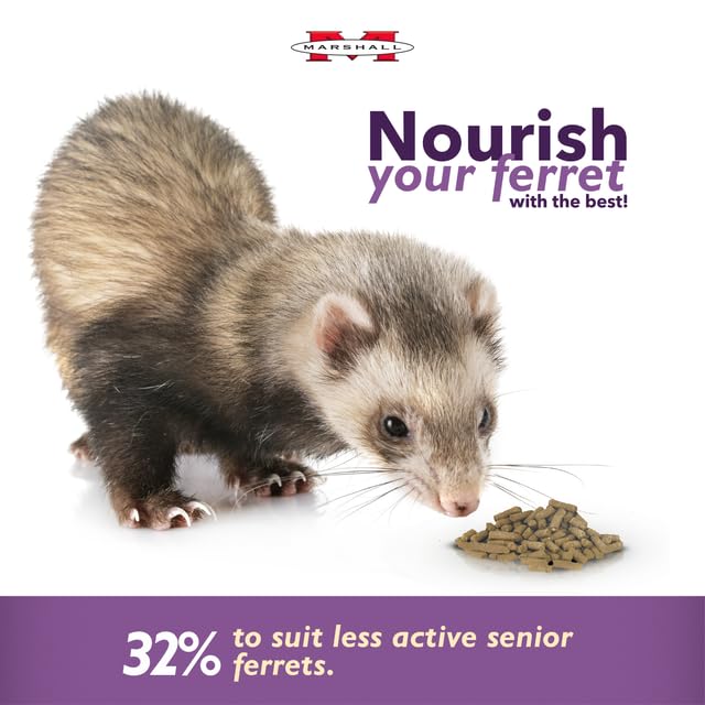 Marshall Premium Ferret Diet Senior Formula kibble texture close-up emphasizing palatability.