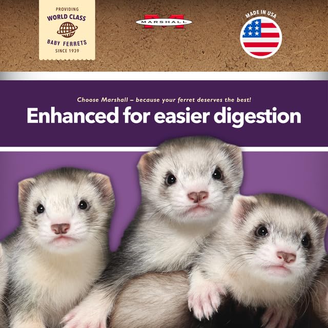Marshall Premium Ferret Diet Senior Formula mix in bowl showing texture and color.