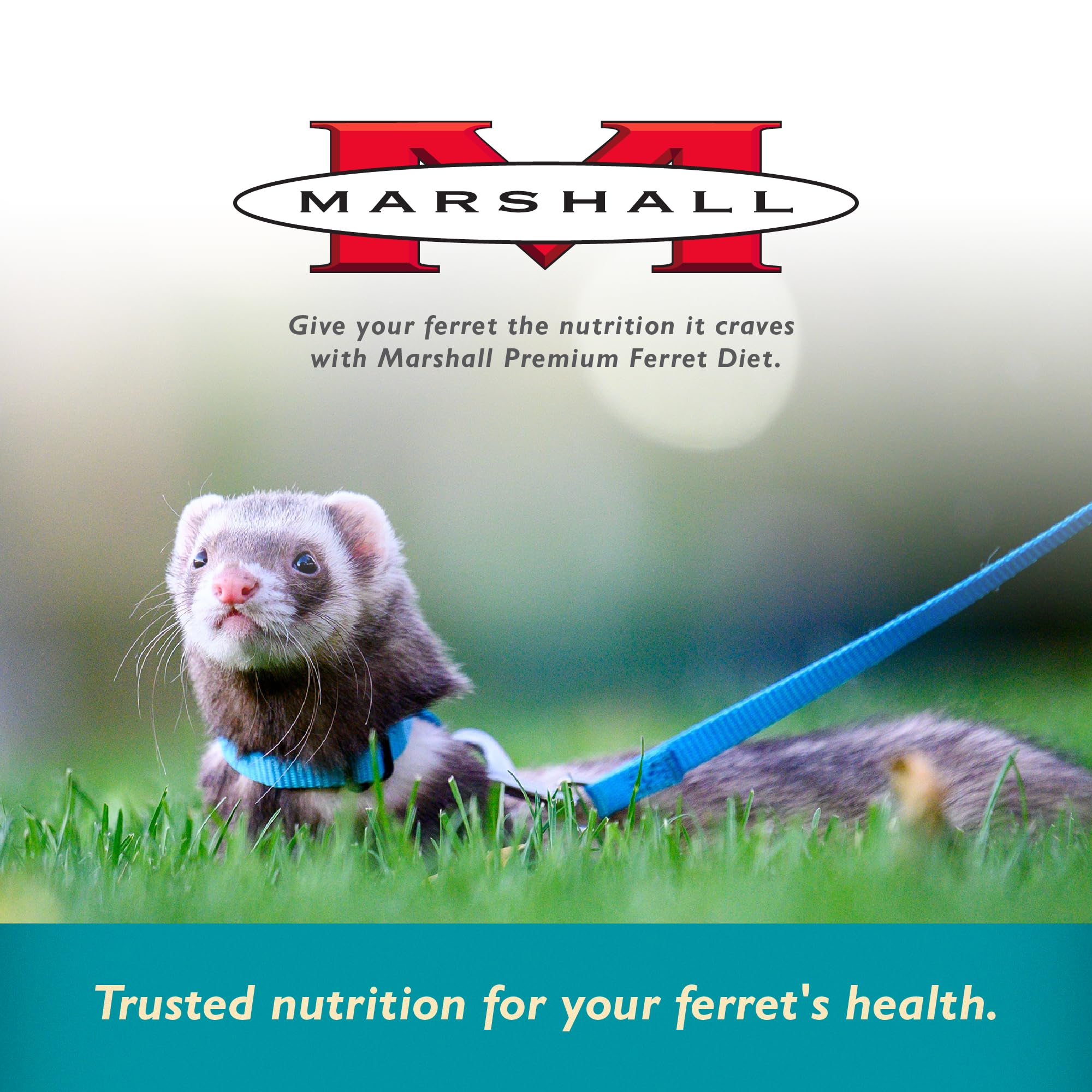 Marshall Select Chicken Formula nutrition chart illustrates balanced nutrients for digestion and muscle maintenance.