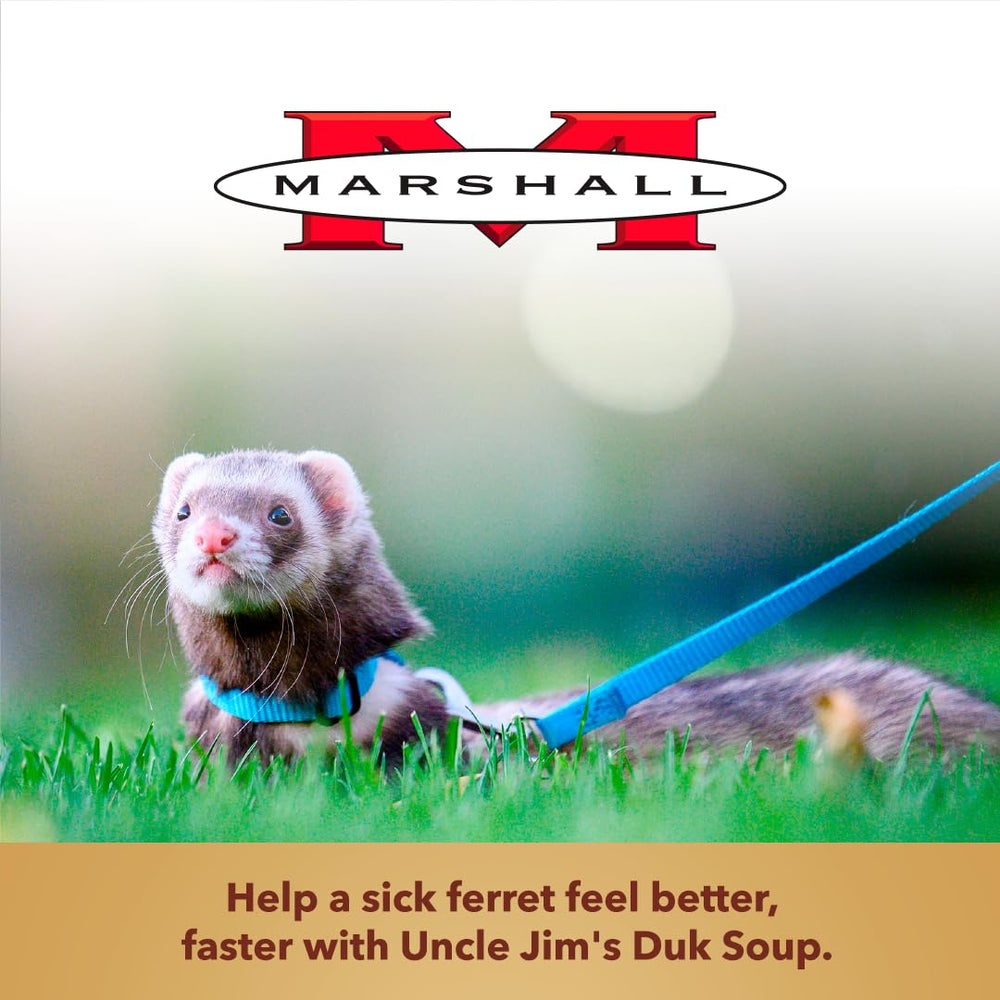 Marshall Uncle Jim’s Duk Soup Mix ferret-friendly serving idea supports daily care.