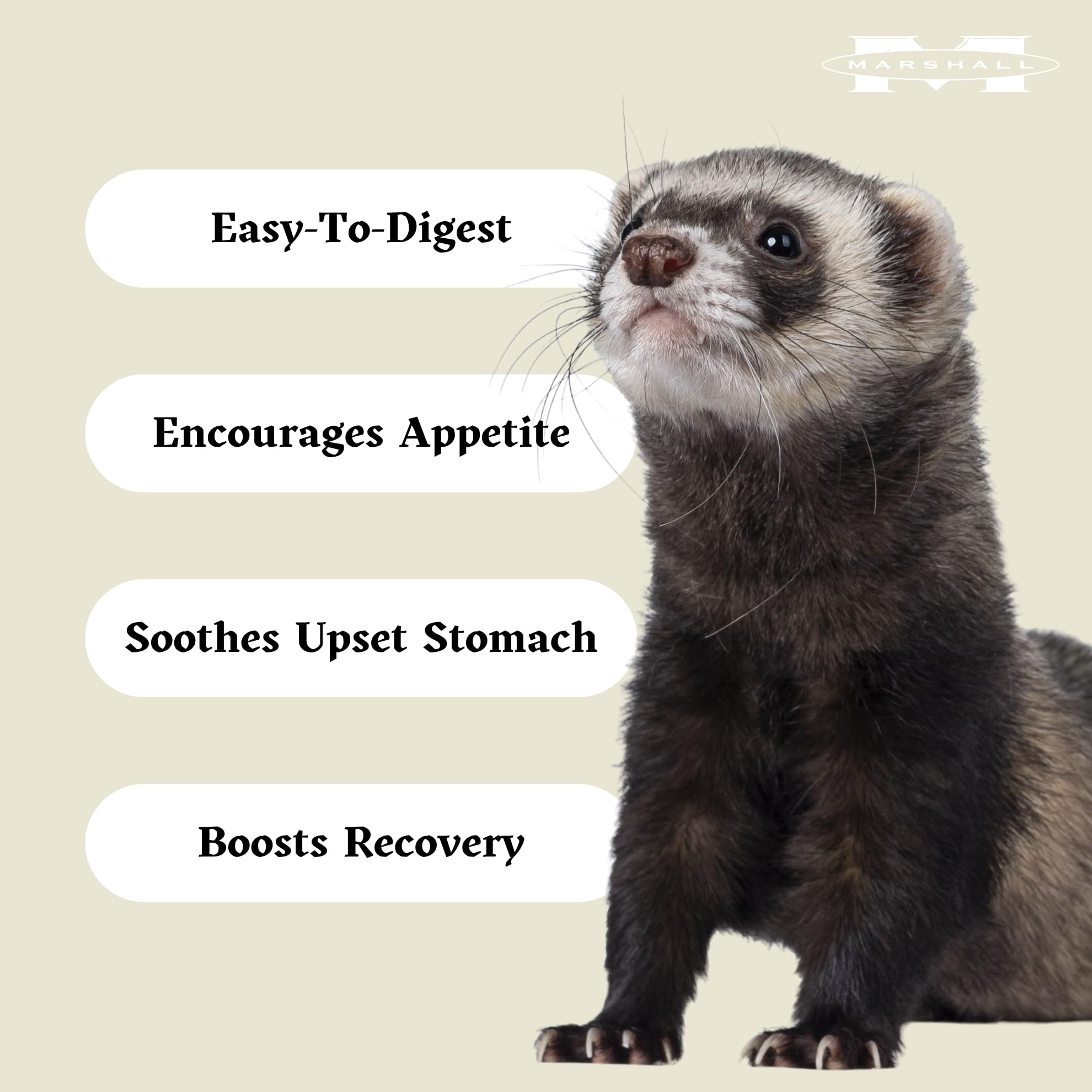 Marshall Uncle Jim’s DUK soup mix-ferret enrichment play highlights interactive feeding and activity.
