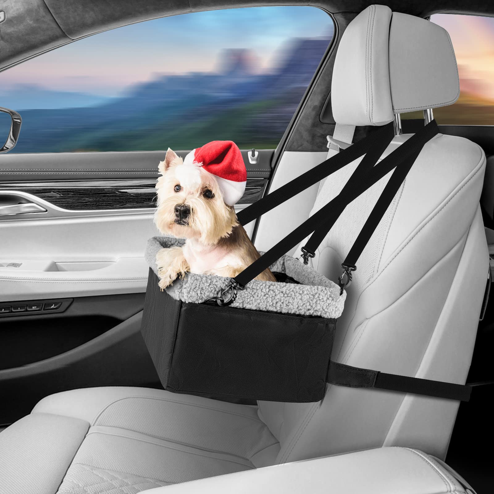 MARSLABO dog car seat recommended for dogs up to 15 lbs