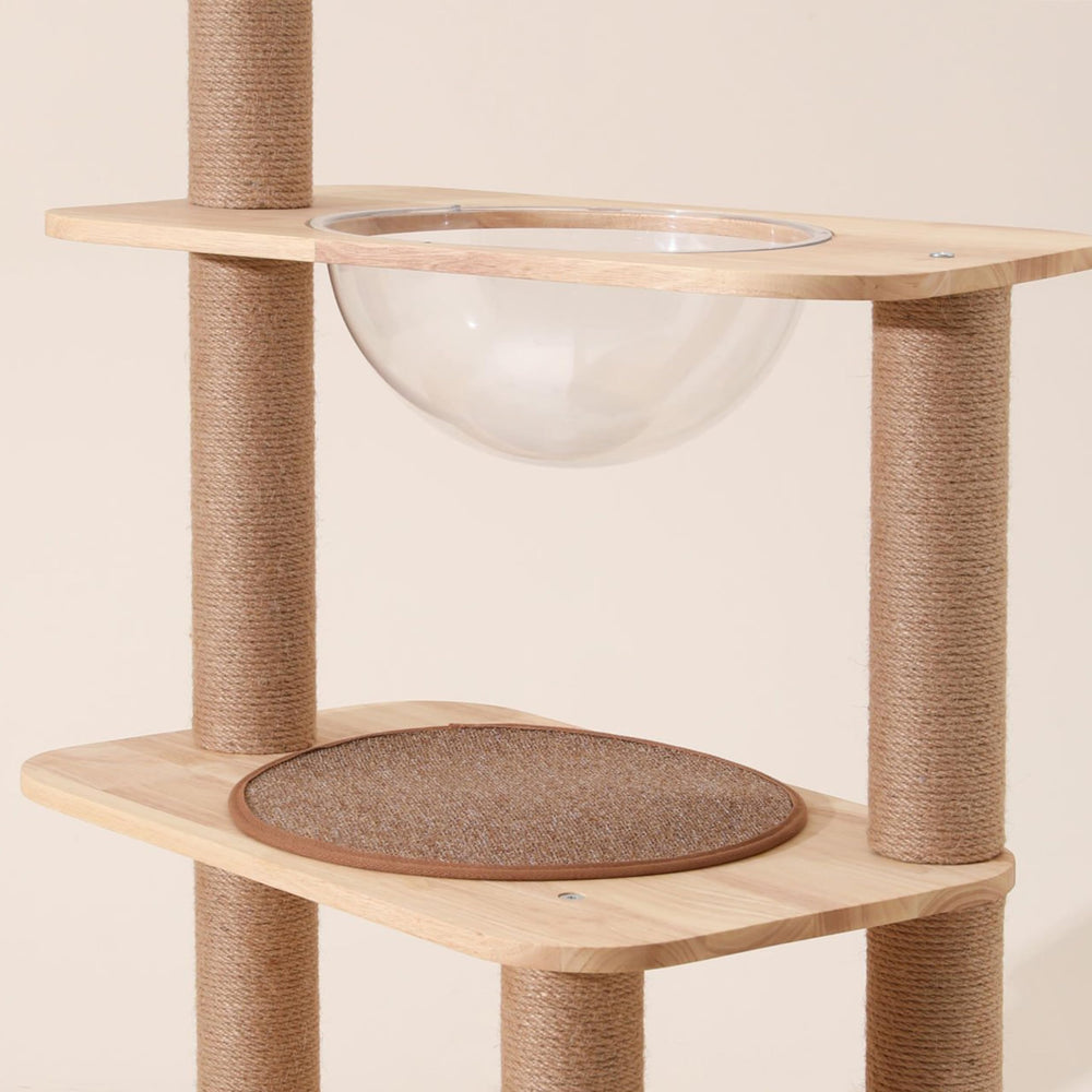 Marsrut cat nest space pod dome emphasizes a cozy, safe play area
