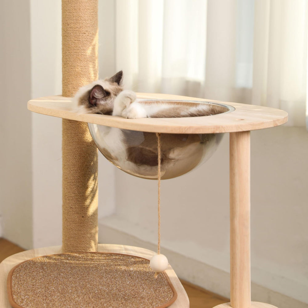 Marsrut DIY cat nest idea demonstrates versatile frame, hammock and edge configurations