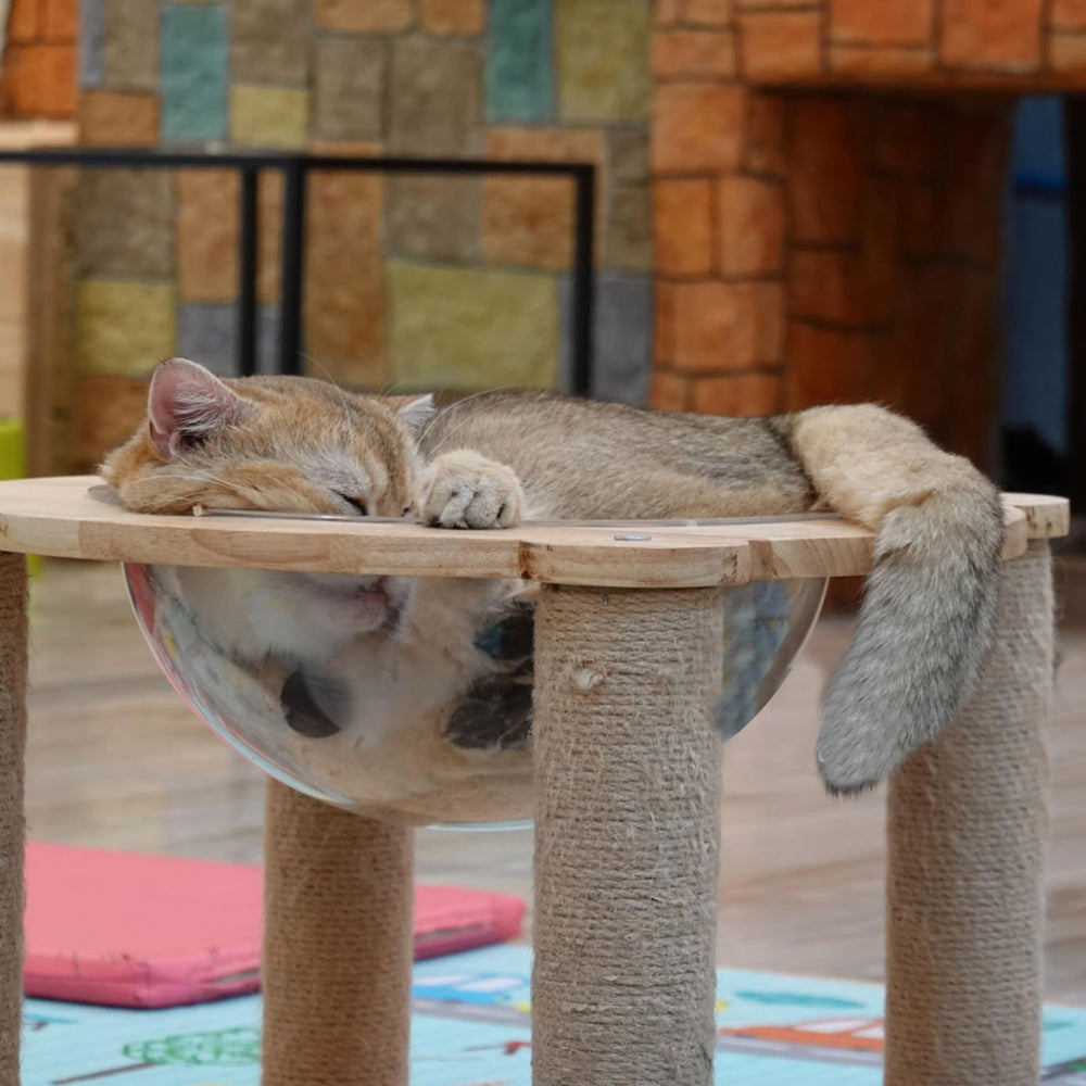 Marsrut replacement nest capsule highlights easy upgrade for compatible cat beds and trees