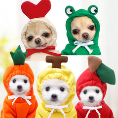 Maruomiki fruit dog coat hood green back view highlights bright fashion.