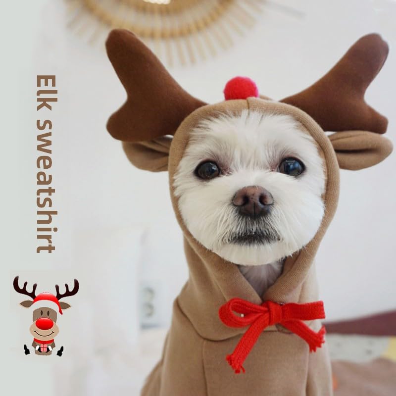 Maruomiki fruit dog coat front hood shows cozy warmth.