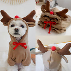 Maruomiki fruit dog coat hoodie size chart visual helps choosing correct size