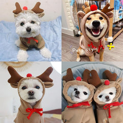 Maruomiki fruit dog coat size chart helps fit.