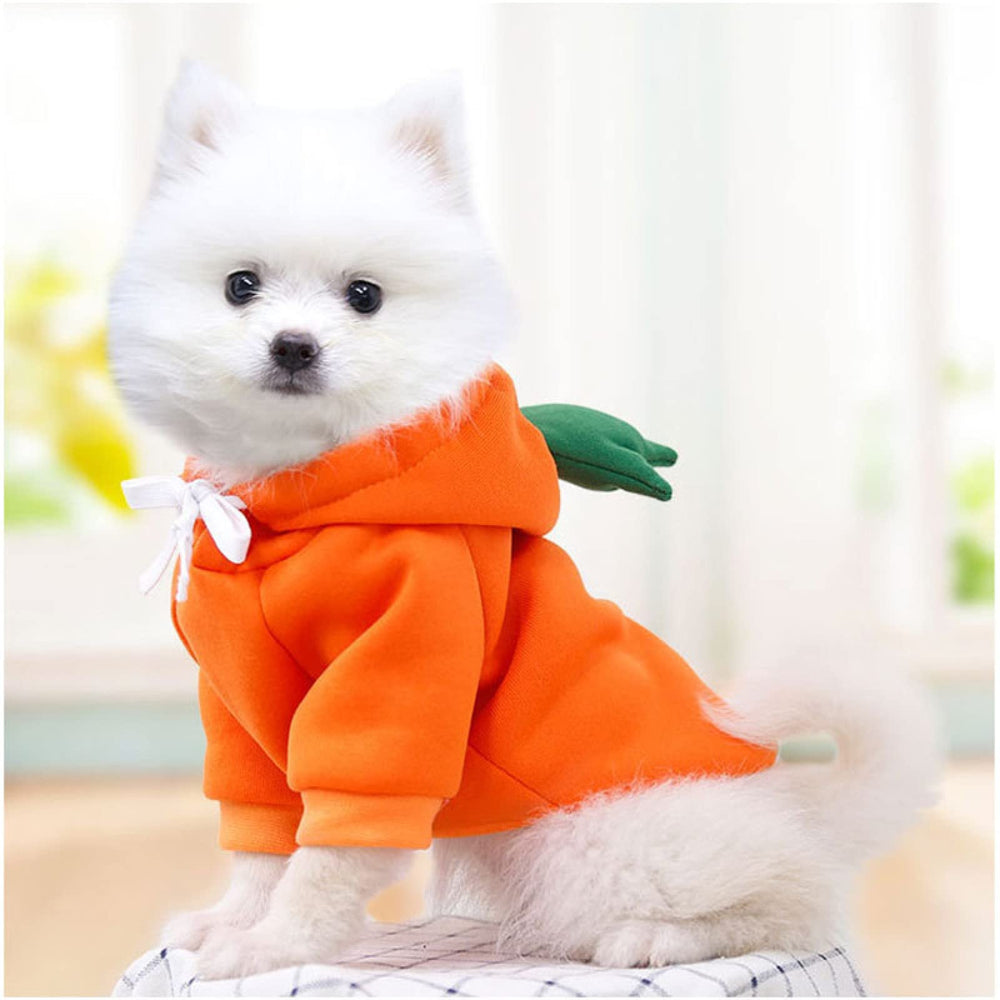 Maruomiki fruit dog coat orange model wearing for everyday warmth and cuteness.