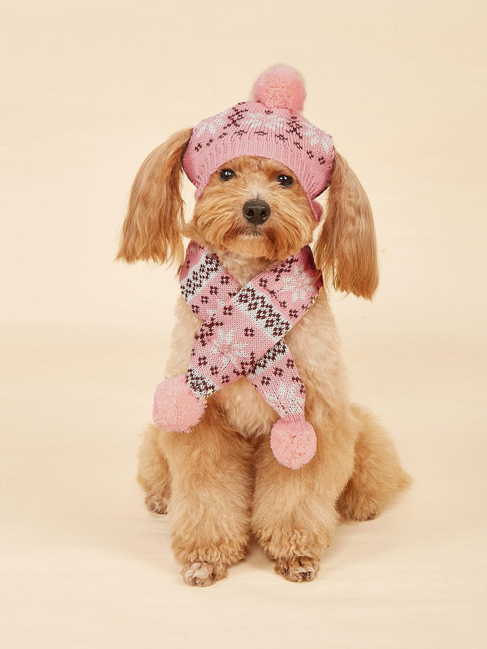 MaruPet dog Christmas party look ideal for photoshoots and family gatherings.