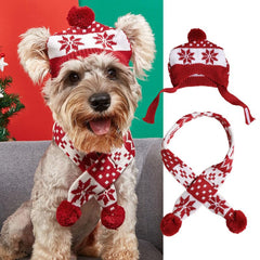 MaruPet dog wearing the open-ear hat during a festive indoor event, comfortable and warm.