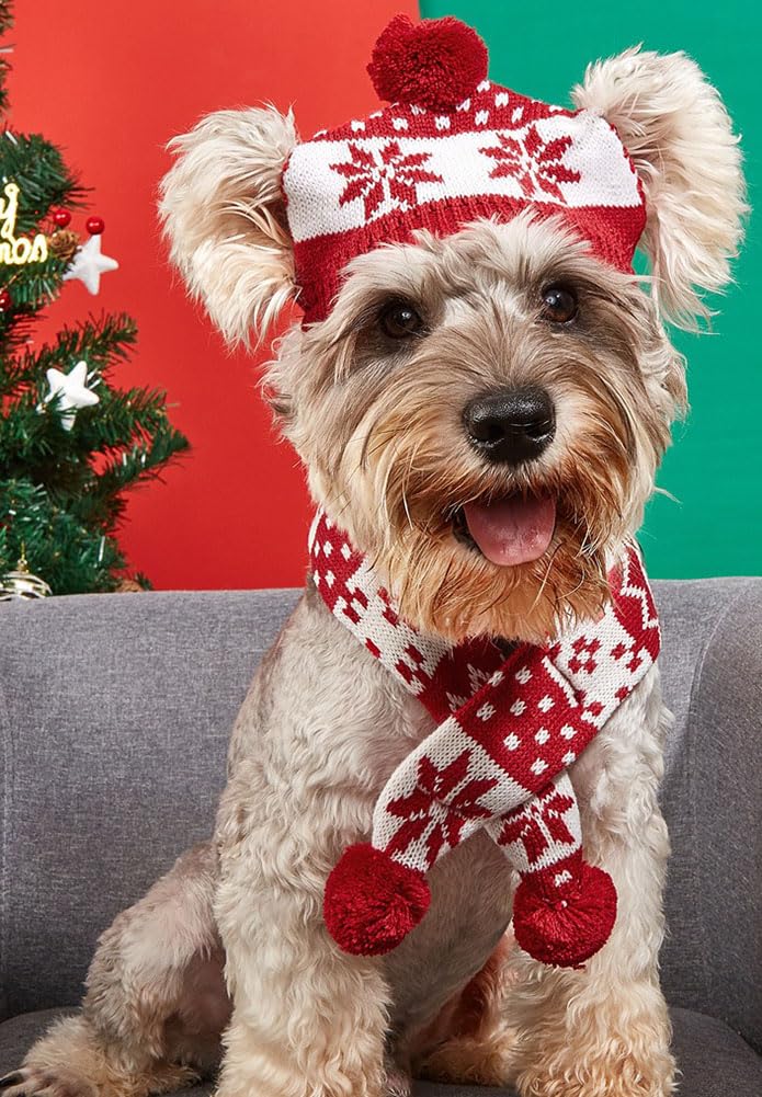 MaruPet scarf wrapped around a dog’s neck, snug warmth suitable for chilly collars and coats.