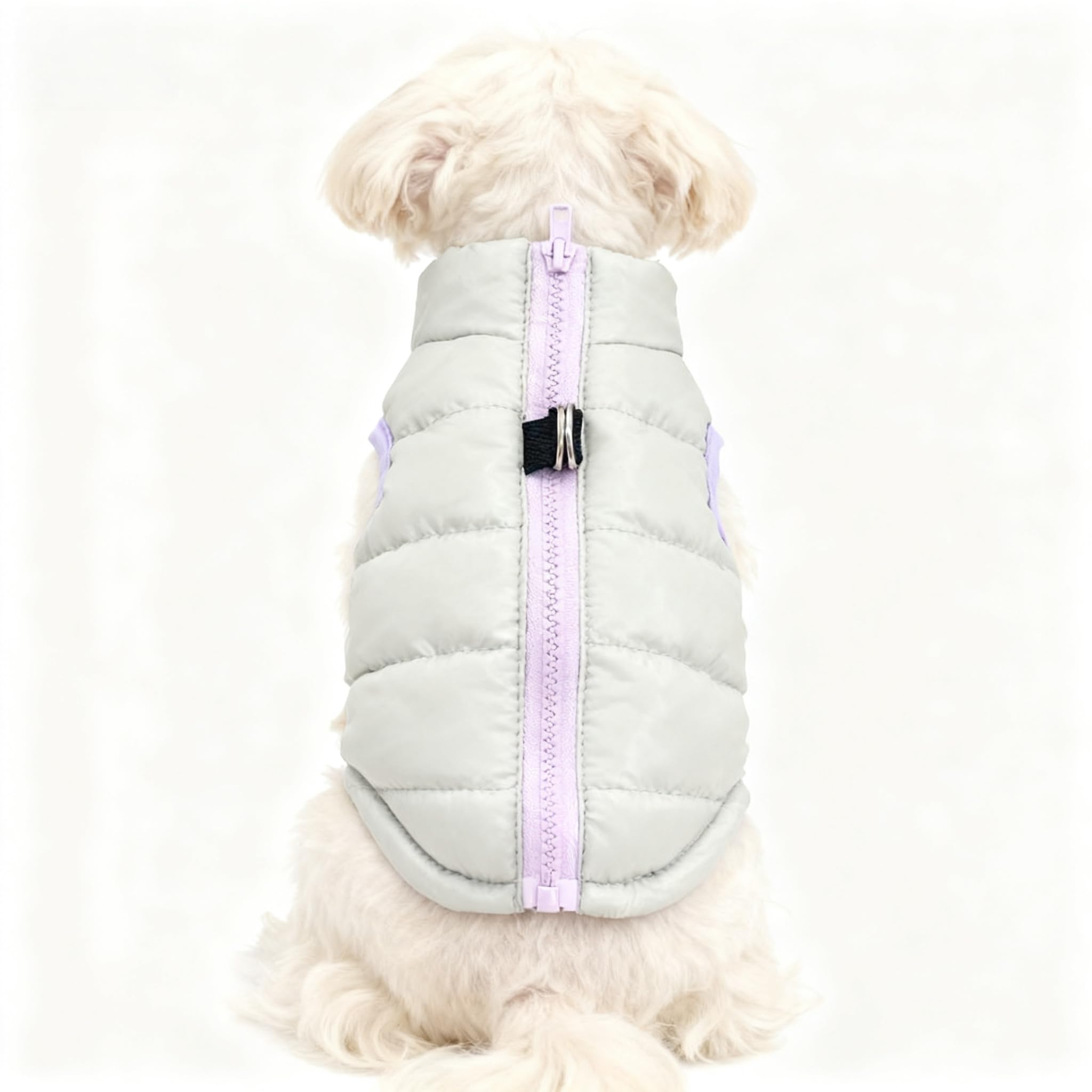 MaruPet x-gray back view vest, ideal for cold weather protection on small dogs.