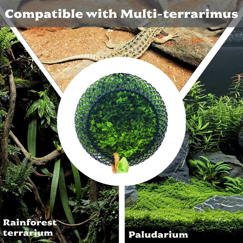 MaryCarrie magnetic-secure-installation illustrates no-fall mounting in terrariums.