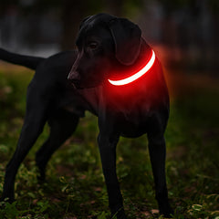MASBRILL correa LED para perros alta visibilidad para localizar a tu mascota.