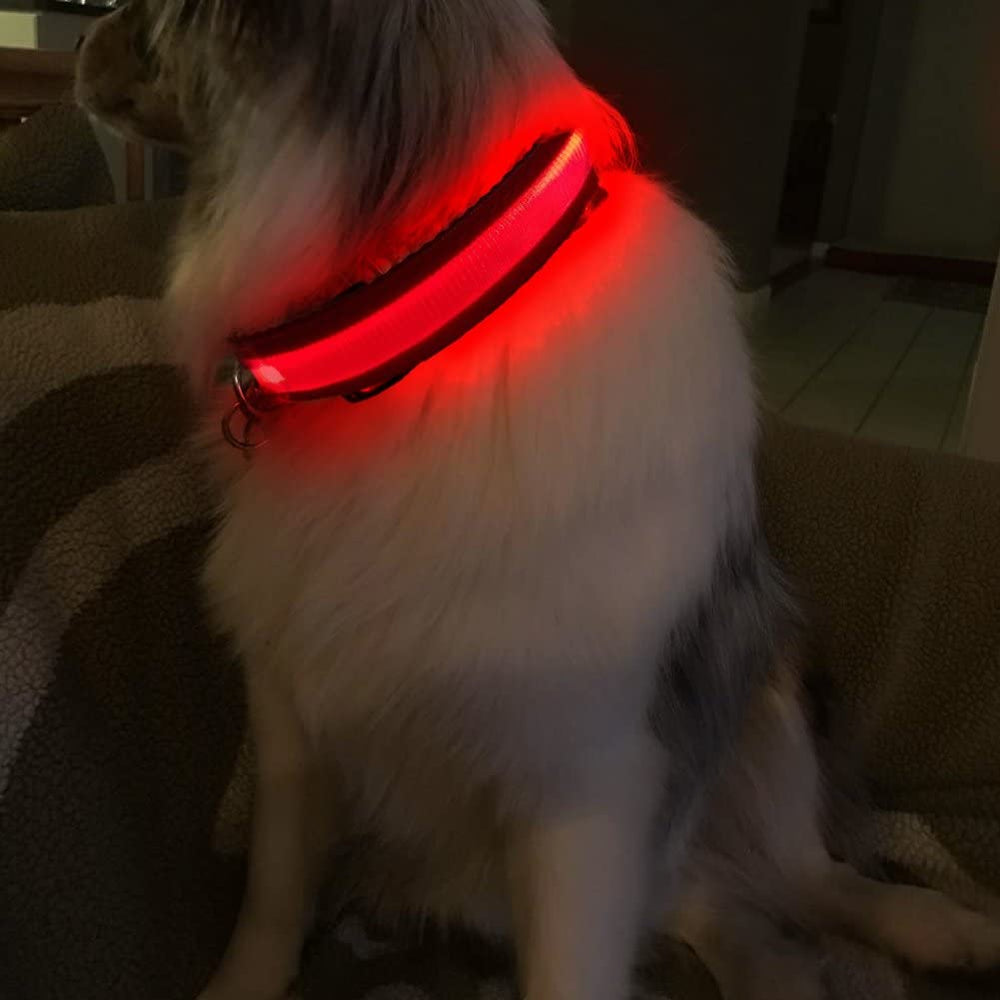 MASBRILL LED Dog Collar cleans easily after outdoor adventures.