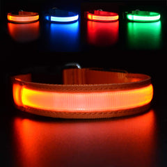 MASBRILL LED dog collar night-glow for safer night walks