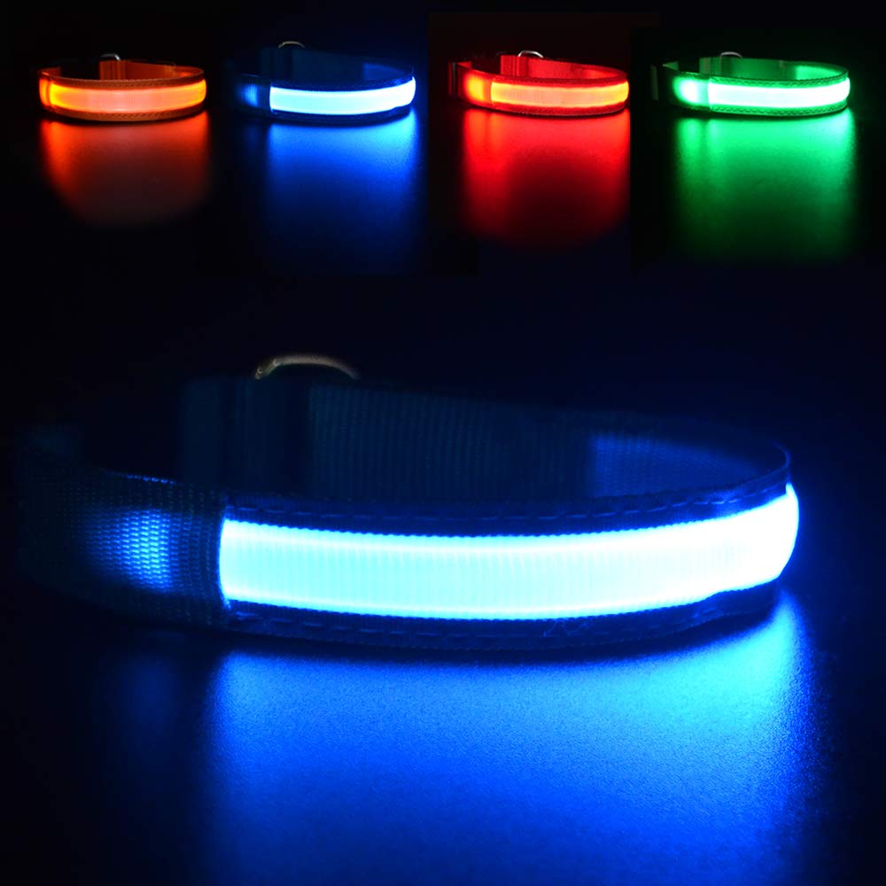 MASBRILL LED dog collar on a dog at dusk for high-visibility night walks.
