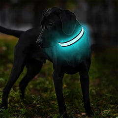 MASBRILL LED dog collar rechargeables via USB, avoiding frequent battery changes