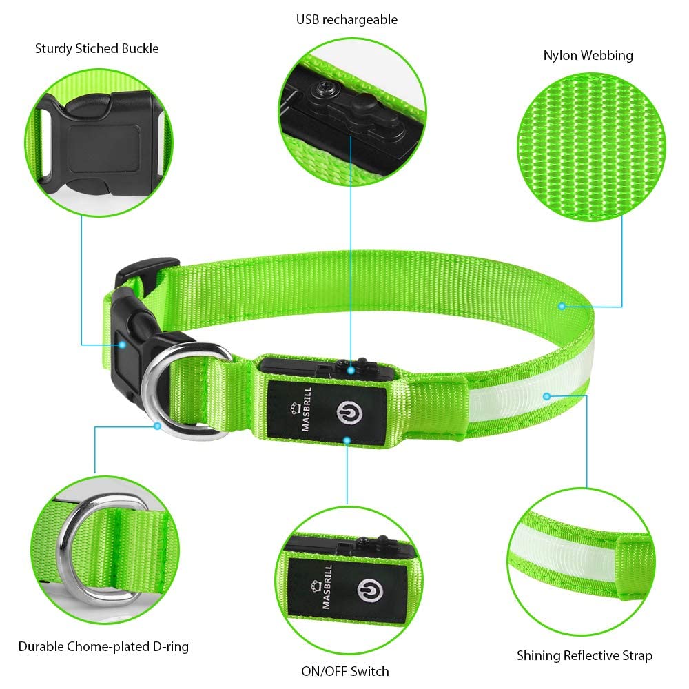 MASBRILL LED Dog Collar USB charging demonstrates convenient power on the go.
