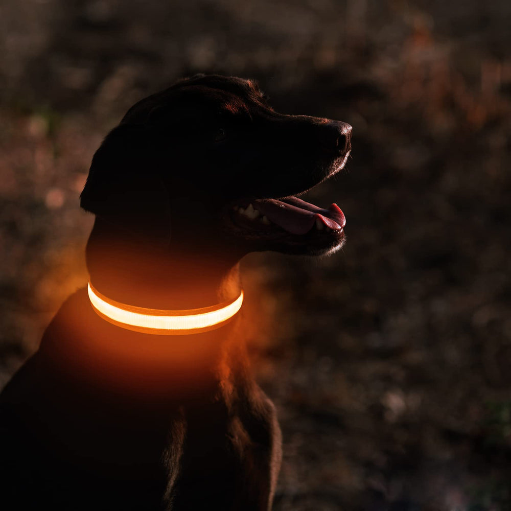 MASBRILL LED dog collar USB-rechargeable for long-lasting charge