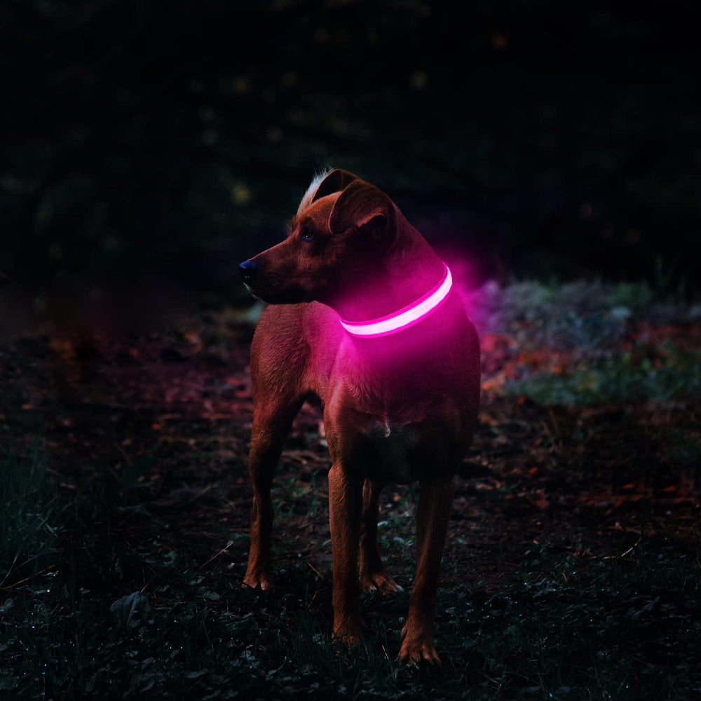 MASBRILL Light Up Collar USB-rechargeable design for mess-free, long-lasting use