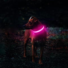 MASBRILL Light Up Collar USB-rechargeable design for mess-free, long-lasting use