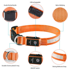 MASBRILL adjustable-strap LED collar fits most dogs for easy wear