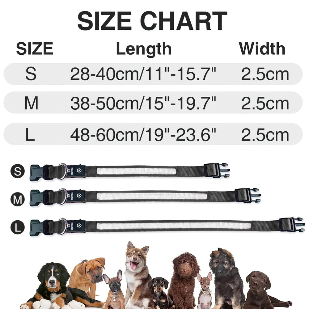 MASBRILL light-up dog collar offers three modes: fast, steady, or constant