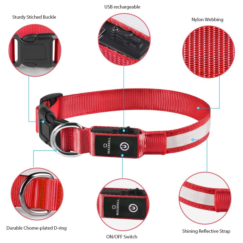 MASBRILL Three-mode LED collar demonstrating fast flash, steady flash, and constant light.