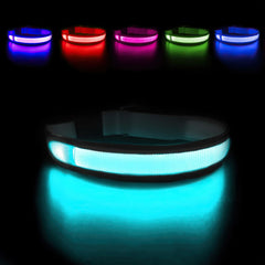 MASBRILL light-up dog collar visible at night improves safety for pedestrians and drivers