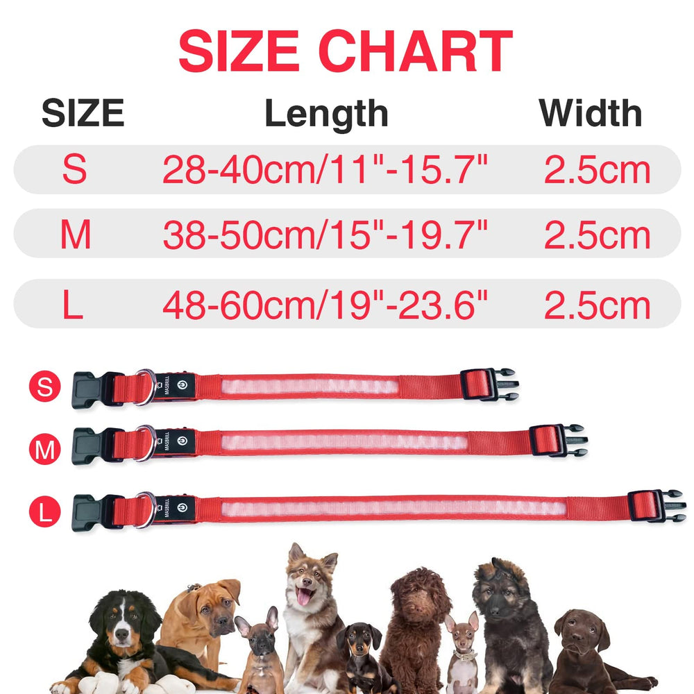 MASBRILL Waterproof LED dog collar enduring rain and mud outdoors.