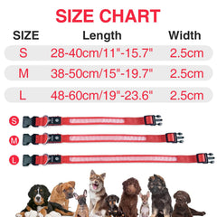 MASBRILL Waterproof LED dog collar enduring rain and mud outdoors.