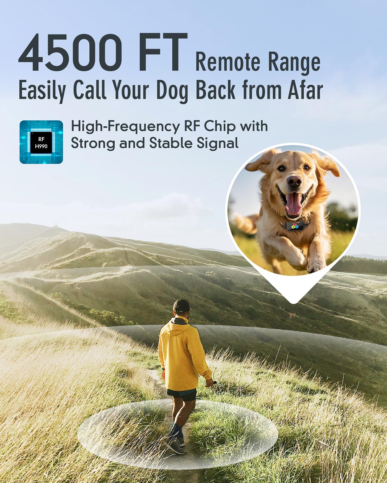 MASEDA dual-channel remote supports simultaneous training of two dogs.
