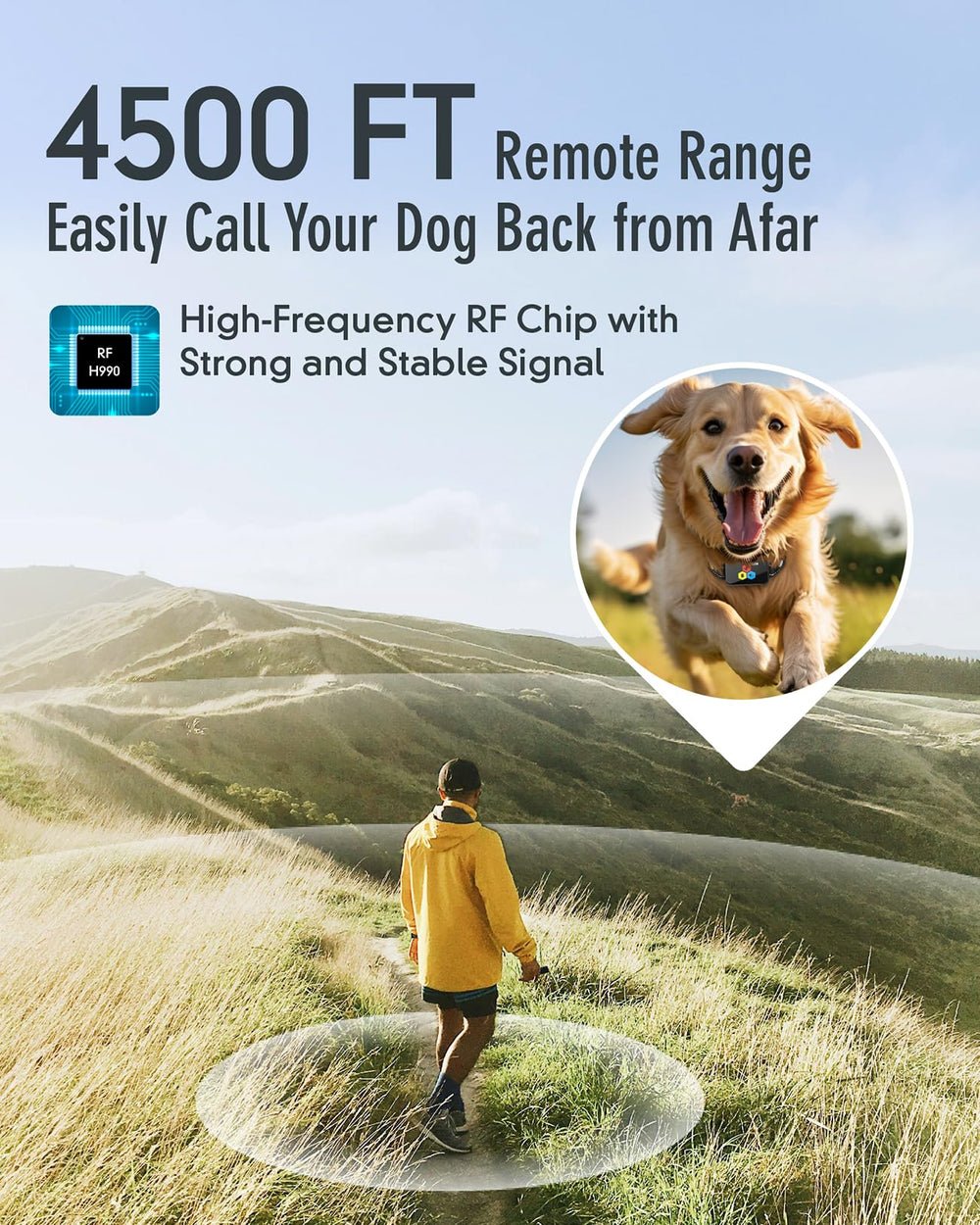 MASEDA dual-channel remote supports simultaneous training of two dogs.