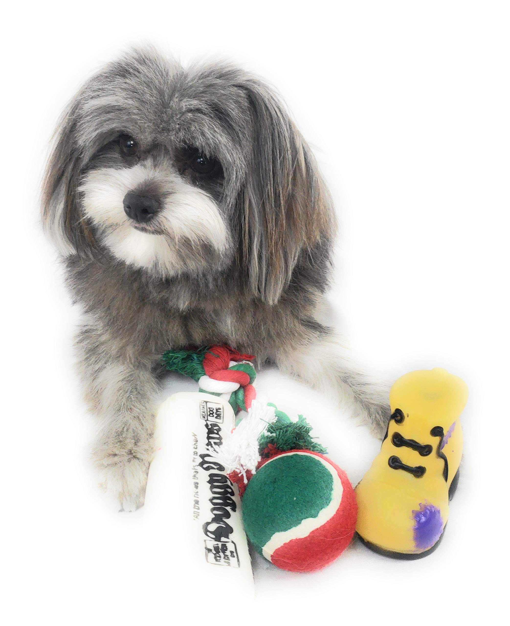 Massca dog stocking toys encourage supervised exercise with varied textures and squeaks.