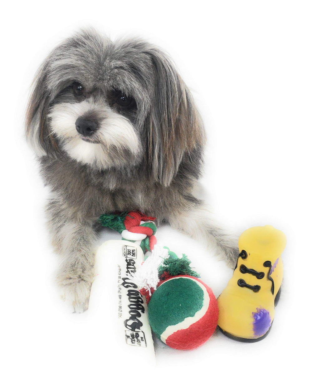 Massca dog stocking toys encourage supervised exercise with varied textures and squeaks.
