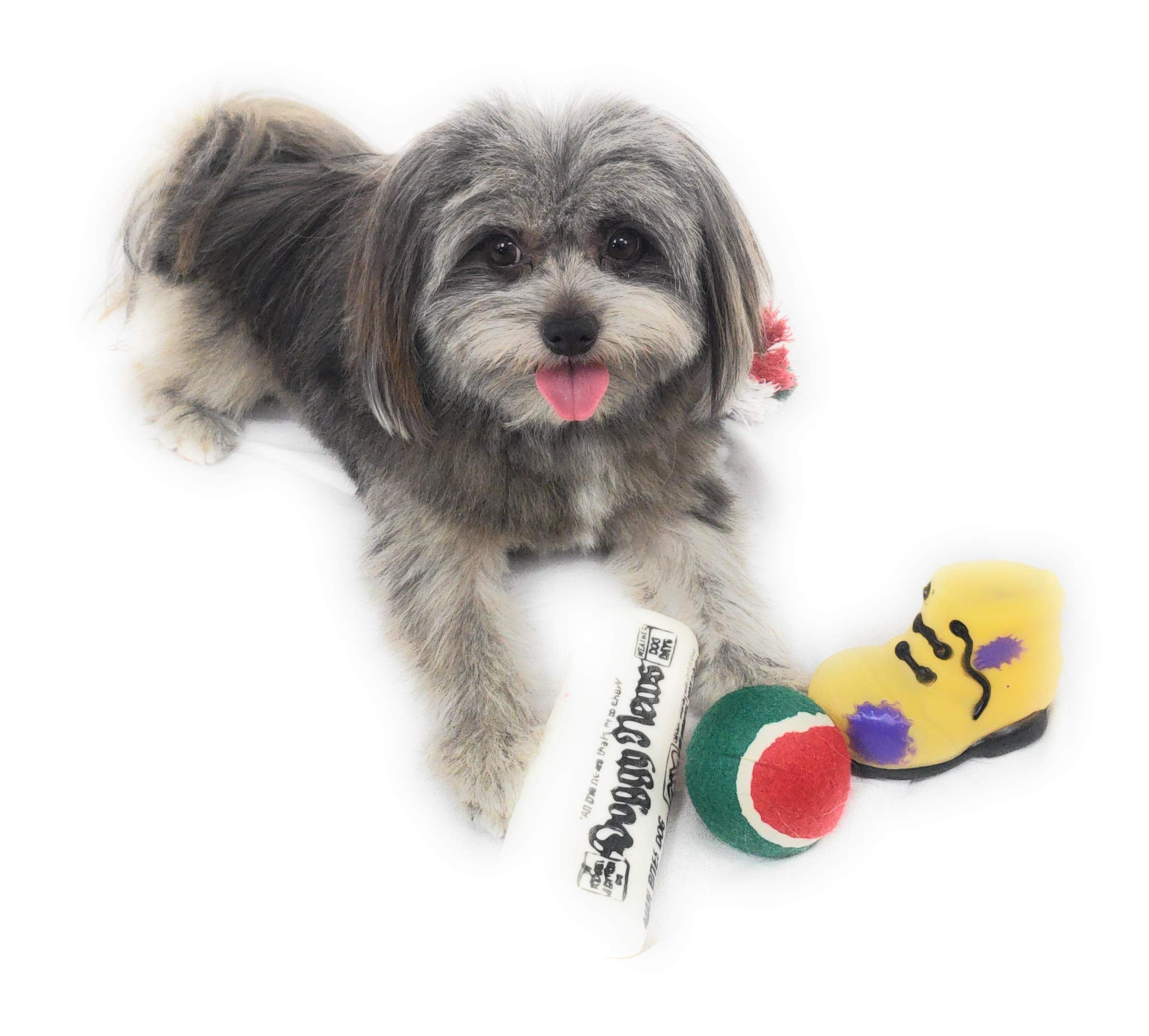 Massca Christmas stocking set offers variety for dogs to explore different textures.