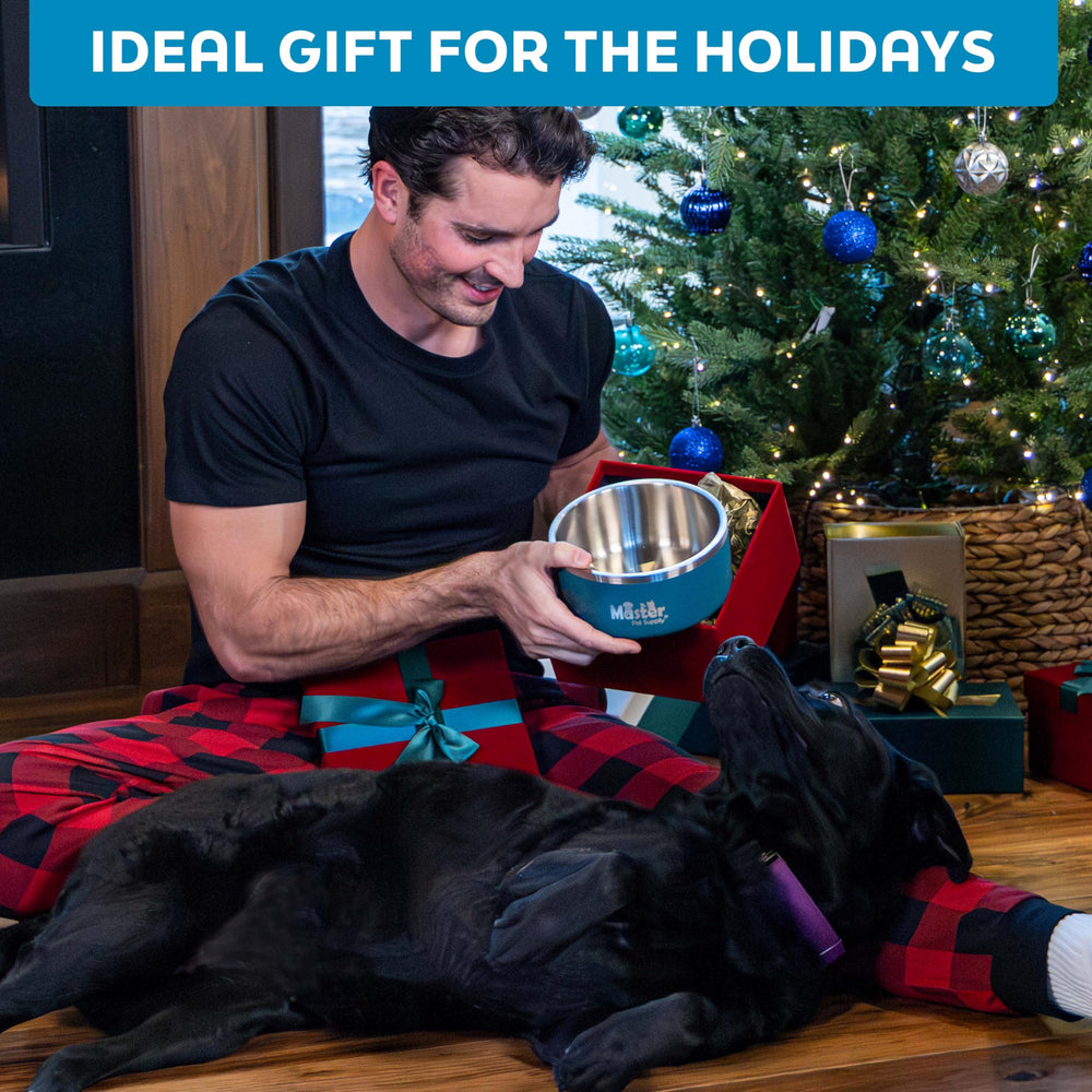 Master Pet Supply heavy-duty metal bowl designed for active pets
