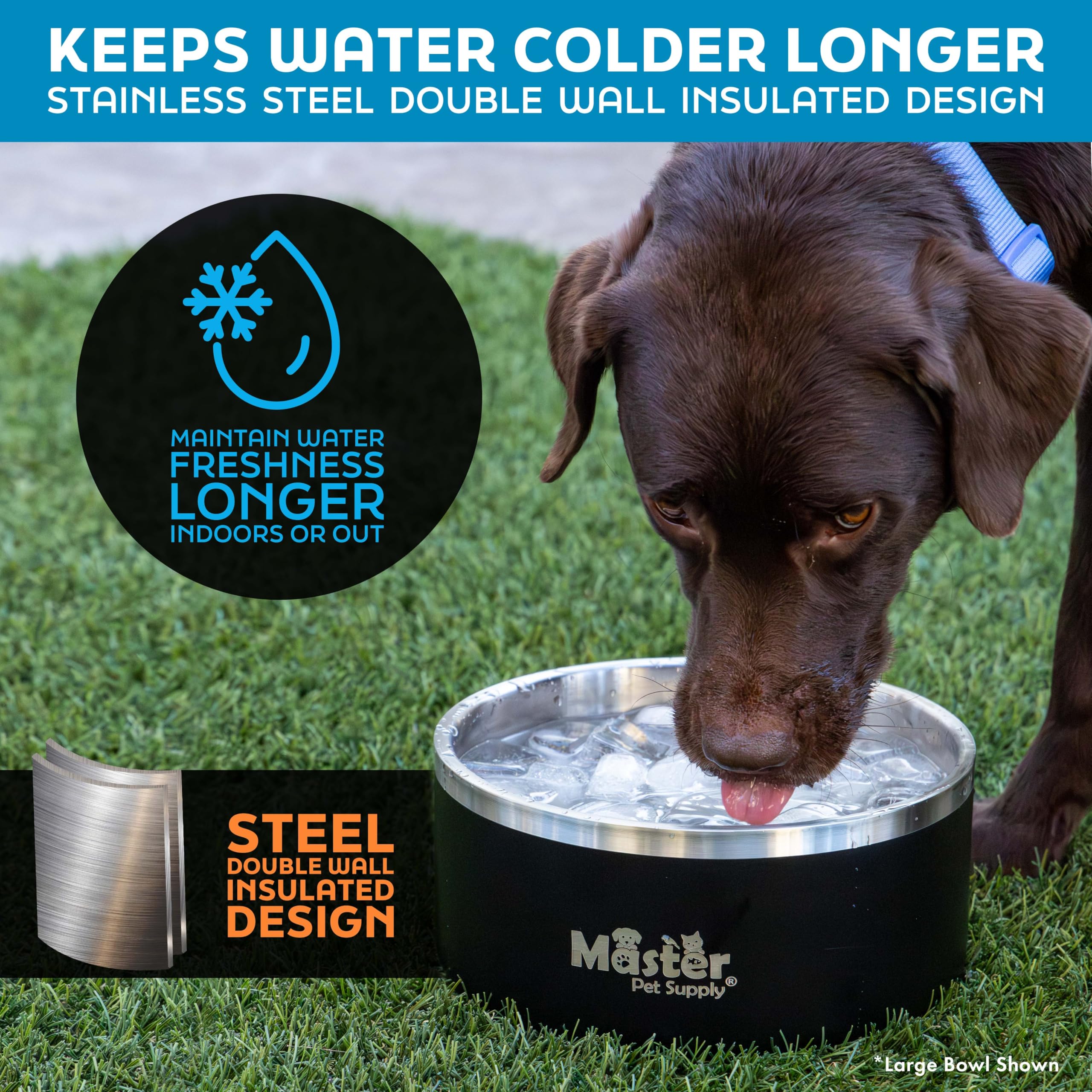 Master Pet Supply non-slip base prevents spills during energetic mealtimes.