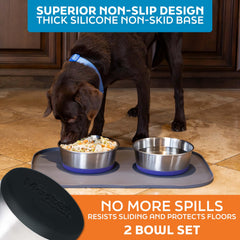 Master Pet Supply stainless steel bowls for wet food, kibble, or water