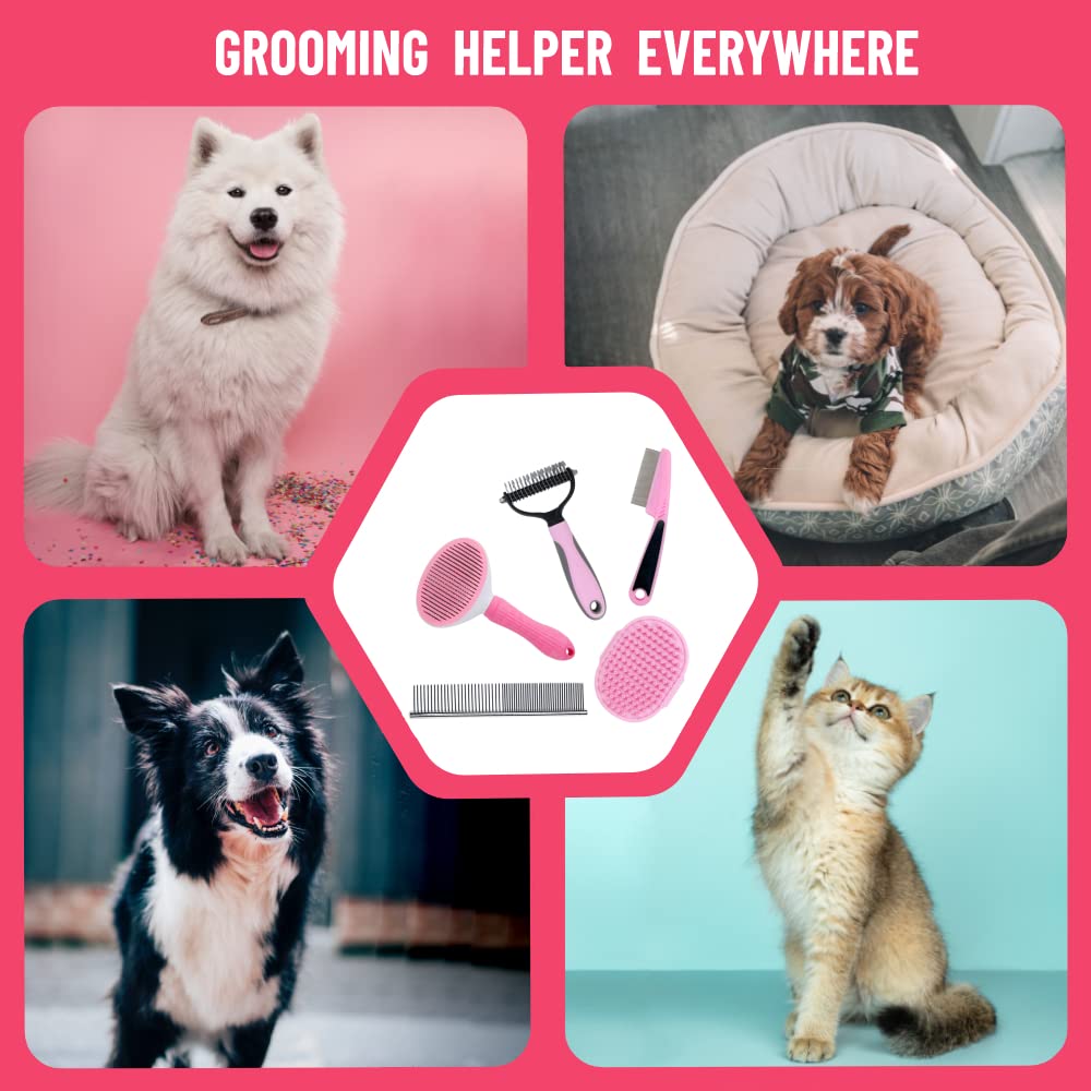 MASTER QUEEN five-brush set covers different grooming needs.