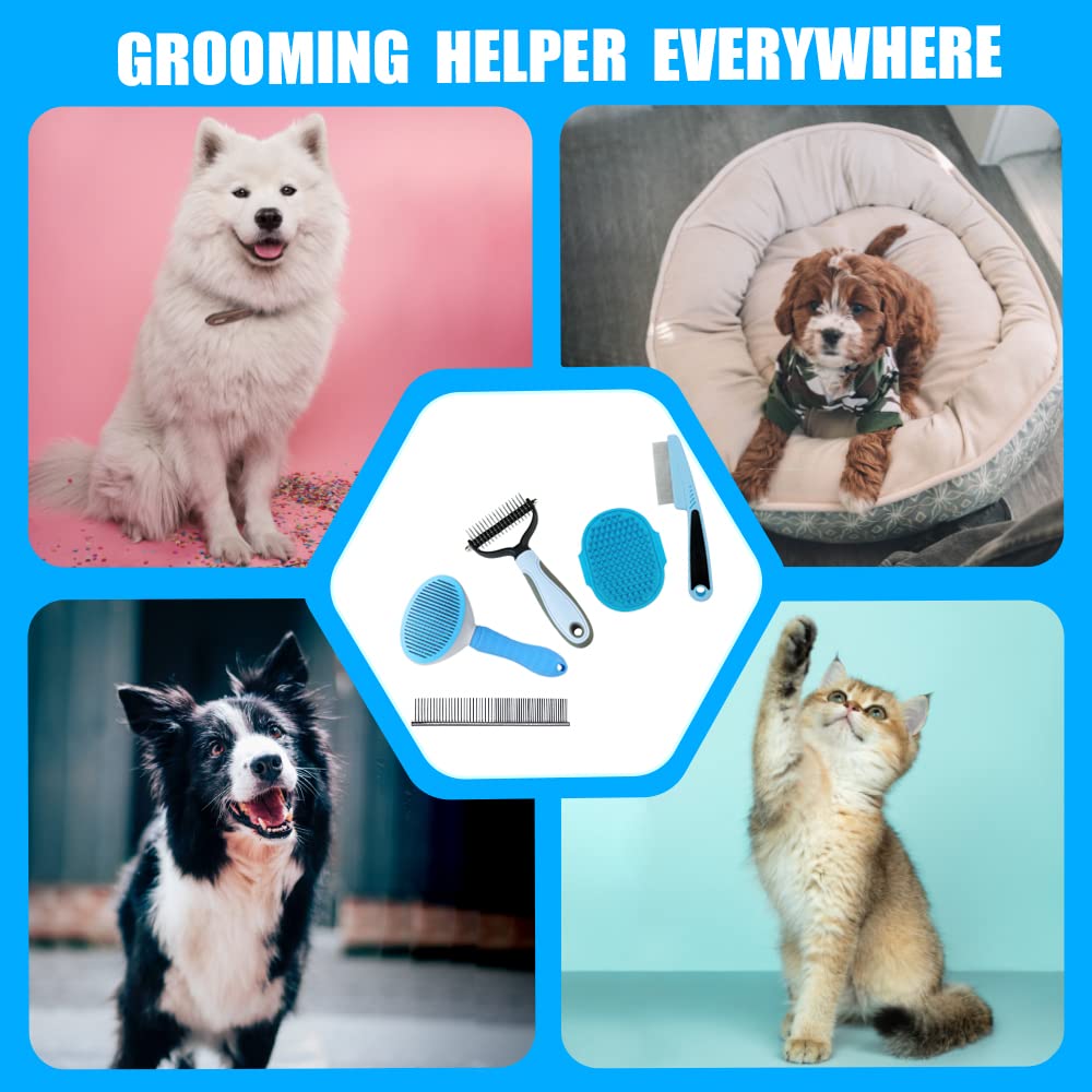 MASTER QUEEN dog grooming at home with the five-piece kit