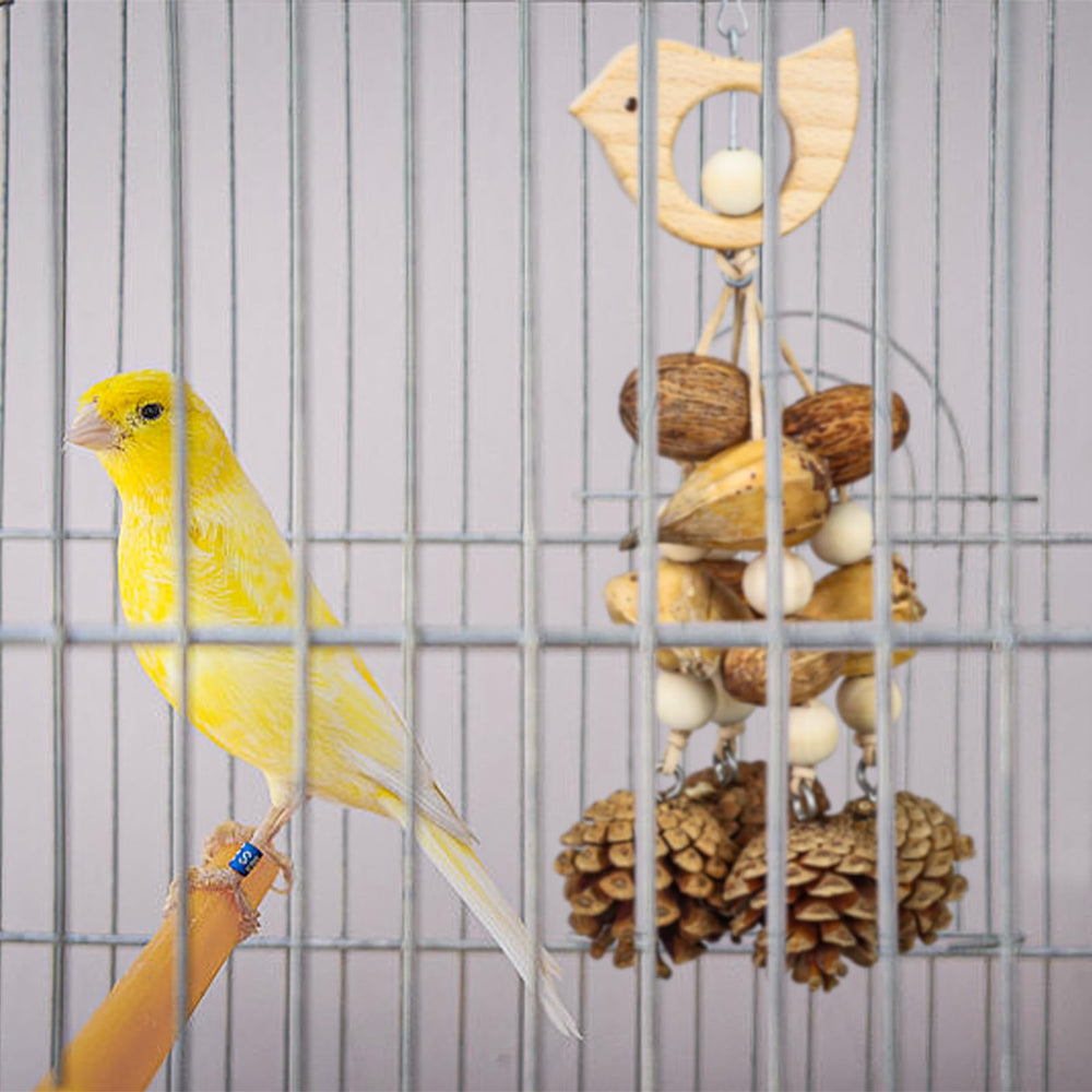 Matafat bird toys variety of colors models demonstrates decorative habitat enhancement.