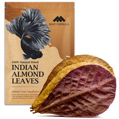 Matchimaa Premium Indian Almond Leaves pack in a bag shows 50g of leaves for aquarium use, ready to add habitat.